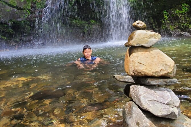 Private Rainforest Waterfalls and Beach Hiking Tour from San Juan - Toro Negro State Rainforest: the drive to Puerto Rico’s interior