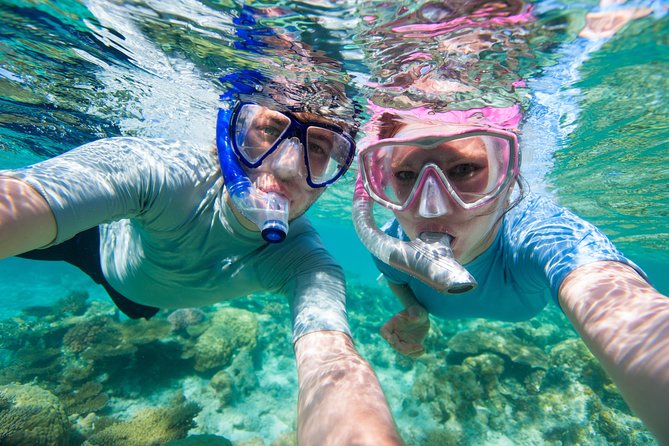 Private Rincon Snorkeling Adventure - Tres Palmas Marine Reserve: why this reef is worth your time