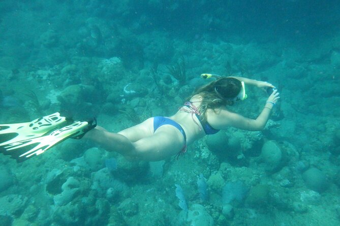 Private Rincon Snorkeling Adventure - Finding the reef from Rincon: private beaches and guided exploration