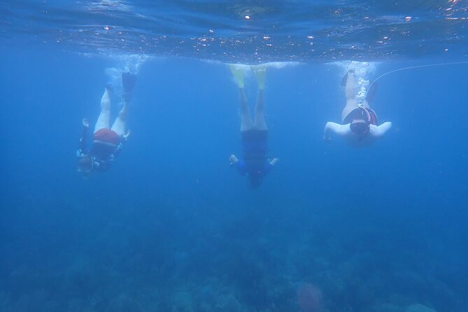 Private Rincon Snorkeling Adventure - Getting to the meeting point at 2207 Ave Pedro Albizu Campos, Carr 115