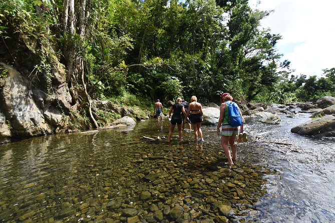 Private Tour of El Yunque Rainforest from San Juan - Price and logistics: what $1,500 per group really means