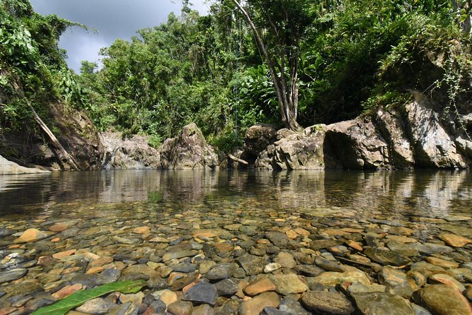 Private Tour of El Yunque Rainforest from San Juan - Physical fitness and safety rules: why they’re strict, not annoying