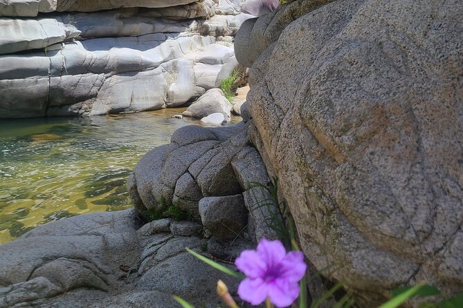 Private Tour of the White Canyon Ancestral Route in Utuado - Petroglyph stations: stone carvings with a guided read