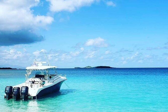 Private Tour to Cayo Icacos and Palomino Island - What You’ll Actually Do on This Private Boat Day