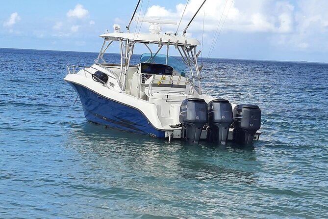 Private Tour to Cayo Icacos and Palomino Island - Key Highlights Worth Planning For