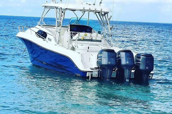 Private Tour to Cayo Icacos and Palomino Island - Cayo Icacos: Snorkel Time, Plus a Lunch Choice