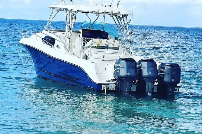 Private Tour to Cayo Icacos and Palomino Island - Snorkeling on Two Islands: A Practical Way to Get the Most Out of It