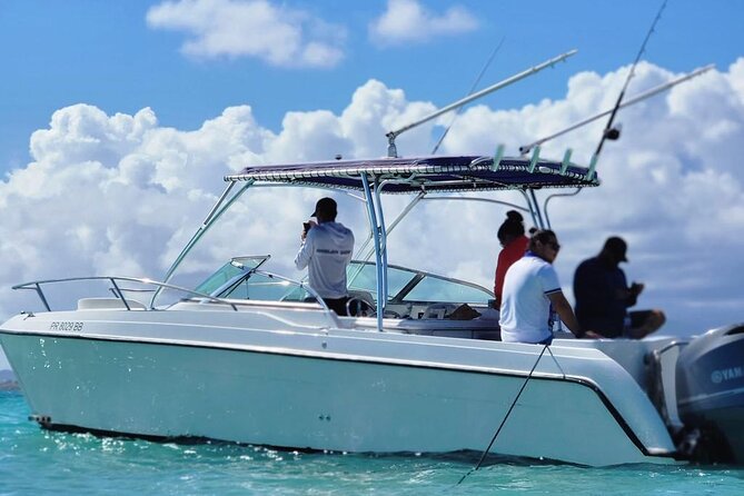 Public or Private Boat Trip to Icacos & Palomino - Family-friendly without turning into a kids’ event