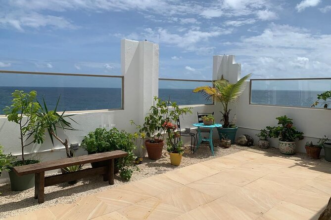 Puerto Rican Gastronomy Cooking Class - Dietary needs, private options, and how to plan ahead