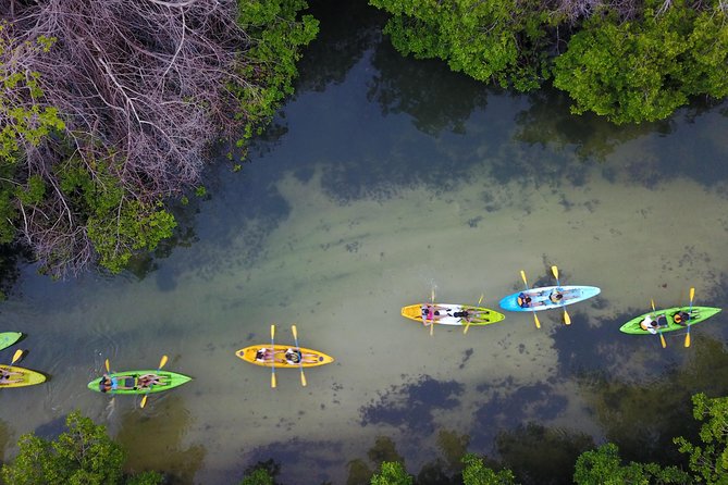 Puerto Rico Bio Bay Kayak Adventure Tour - The value call: is $65 worth it?