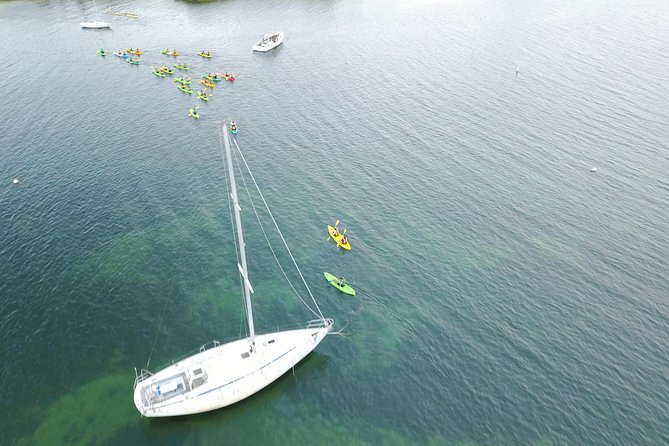 Puerto Rico Bio Bay Kayak Adventure Tour - Who should book this kayak bio bay trip?