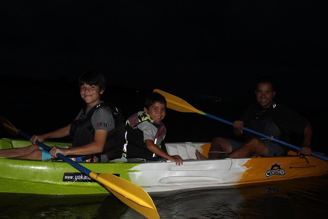 Puerto Rico Bio Bay Kayak Adventure Tour - Should you book Puerto Rico’s Bio Bay Kayak Adventure?
