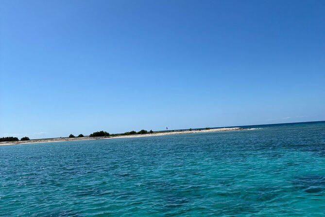 Puerto Rico: Bio Bay Swim and Sunset Charter or Late night tour - Quick take before you go
