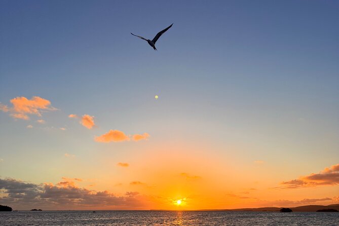 Puerto Rico: Bio Bay Swim and Sunset Charter or Late night tour - Price and logistics: is $65 a good deal?