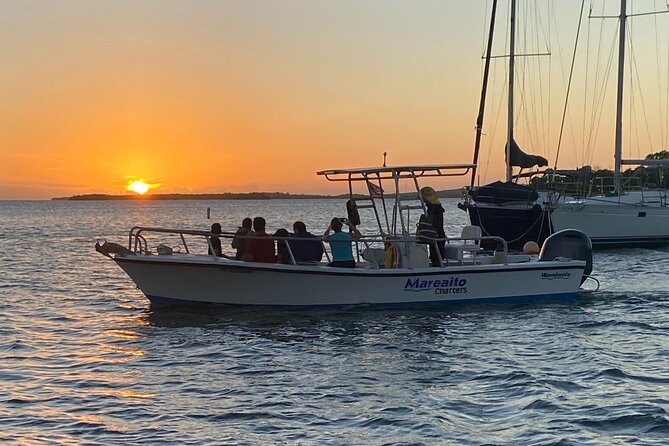 Puerto Rico: Bio Bay Swim and Sunset Charter or Late night tour - Who should book this biobay swim charter