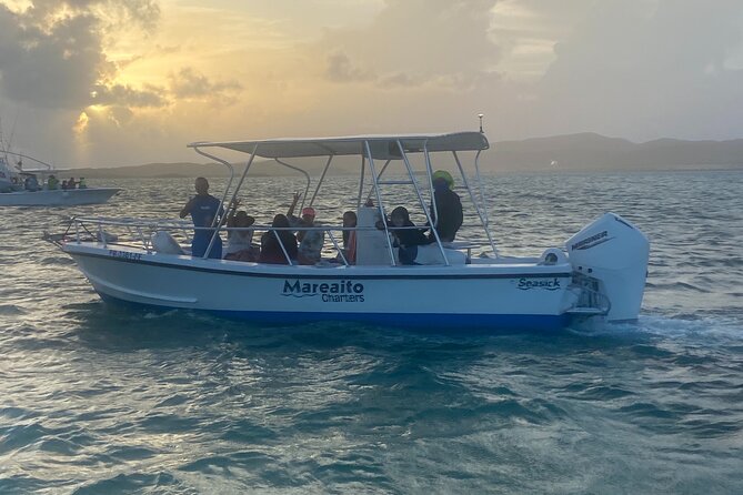 Puerto Rico: Bio Bay Swim and Sunset Charter or Late night tour - After the sunset: the biobay swim and 30 minutes of pixie dust