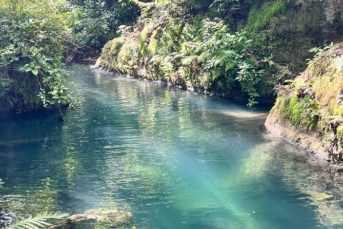 Puerto Rico Charco Azul Hiking Adventure - Price and value: is $89 worth it?