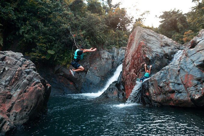Puerto Rico El Yunque Rainforest with Transportation - Key things to know before El Yunque