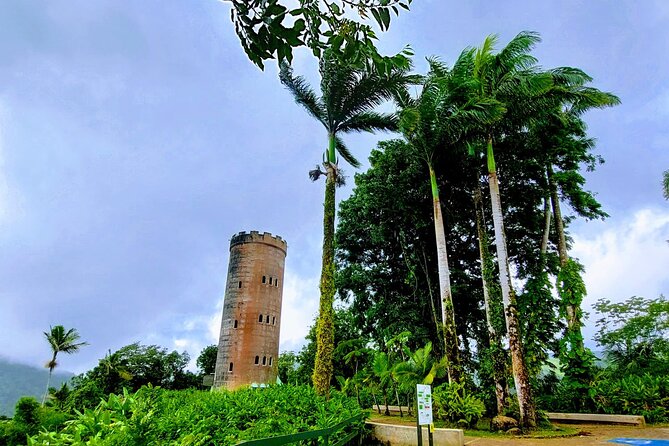 Puerto Rico: El Yunque Sightseeing Half-Day Tour w/Transfer - Key highlights worth anchoring on