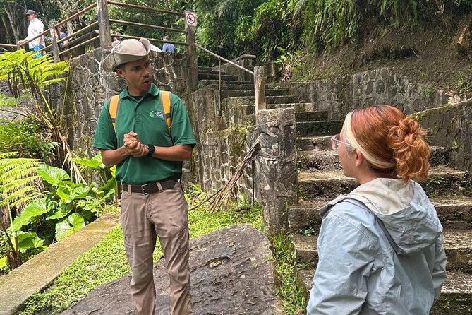 Puerto Rico: El Yunque Sightseeing Half-Day Tour w/Transfer - Catarata La Coca: a waterfall stop that works even if you are not hiking all day