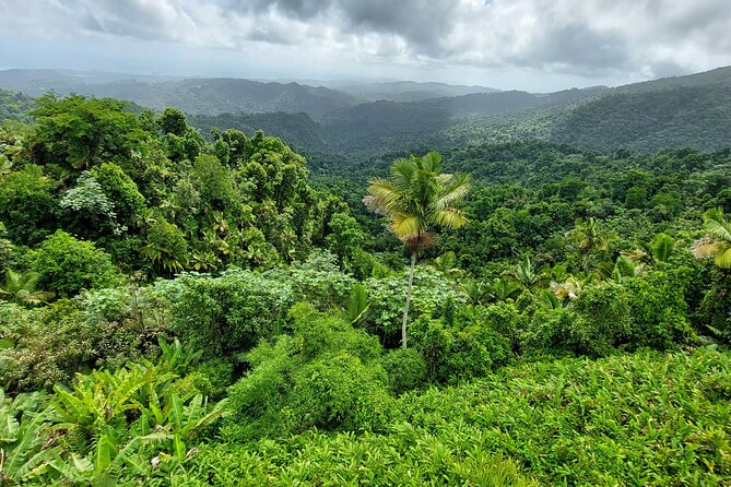 Puerto Rico: El Yunque Sightseeing Half-Day Tour w/Transfer - Bano Grande: scenic pool photos, but no swimming