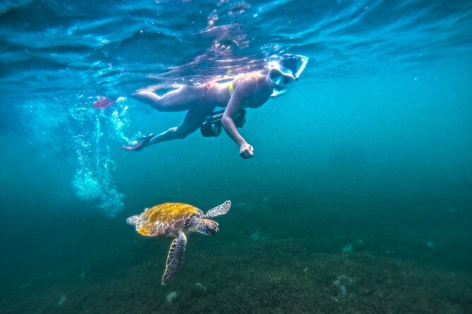 Puerto Rico Jet Snorkel with Turtles and Videos in San Juan - Meeting at Batería del Escambrón, then gear up
