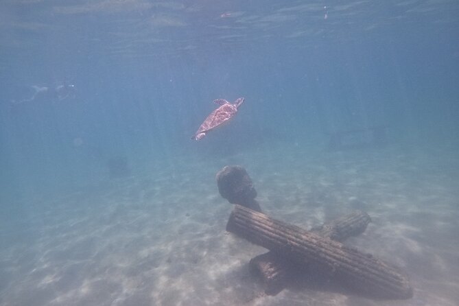 Puerto Rico Jet Snorkel with Turtles and Videos in San Juan - Photos and videos are part of the package, and that changes everything