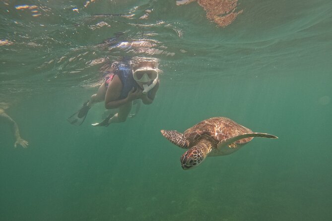 Puerto Rico Jet Snorkel with Turtles and Videos in San Juan - Price and value: is $99 really fair for this kind of snorkeling?