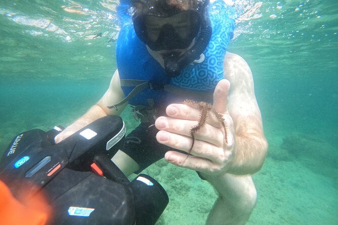 Puerto Rico Jet Snorkel with Turtles and Videos in San Juan - Who should book this jet snorkel with turtles, and who might pass