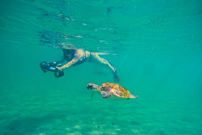 Puerto Rico Jet Snorkel with Turtles and Videos in San Juan - Getting on the water: what the Balneario El Escambrón stop feels like