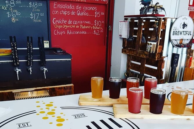 Puerto Rico's First and Only Craft Beer Brewery Tour! - Alcohol included: how to enjoy it without feeling sloppy