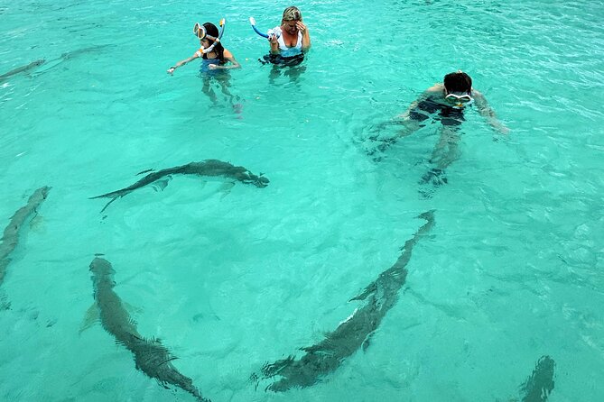 Puerto Rico's Only Private, VIP & Filmed Bio Bay Swim Experience - Price and value: what $429.99 buys you beyond the wow factor