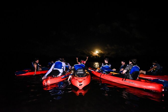 Puerto Rico Sunset Magic: Bio Bay Kayaking Tour from Fajardo - Key Highlights You’ll Care About