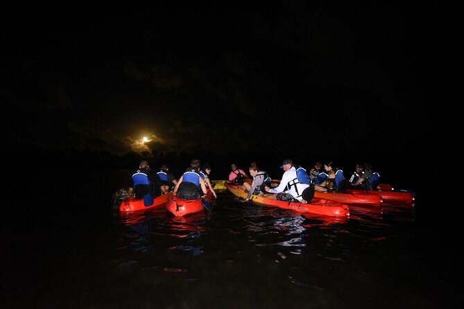 Puerto Rico Sunset Magic: Bio Bay Kayaking Tour from Fajardo - Bio Bay Magic in Fajardo: What You’re Actually Kayaking Through