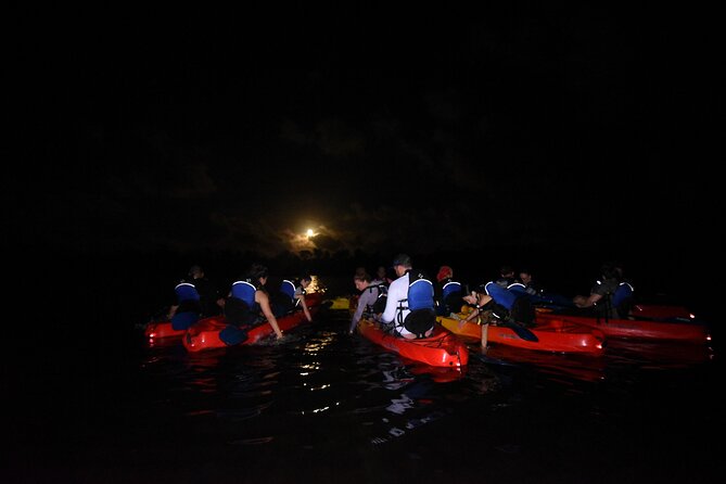 Puerto Rico Sunset Magic: Bio Bay Kayaking Tour from Fajardo - Getting the Glow: Moonlight, Cloud Cover, and the Tarp Trick