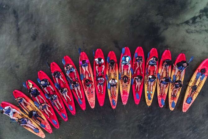 Puerto Rico Sunset Magic: Bio Bay Kayaking Tour from Fajardo - What to Wear and Bring When It’s Dark, Wet, and Bug-Heavy