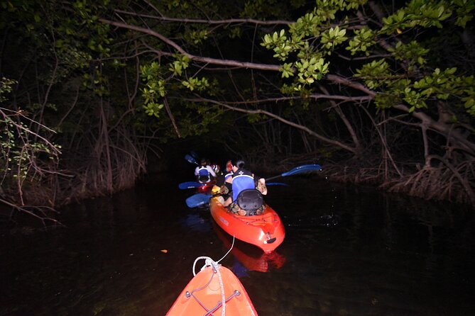 Puerto Rico Sunset Magic: Bio Bay Kayaking Tour from Fajardo - Price and Value: Is $66.90 Worth It?