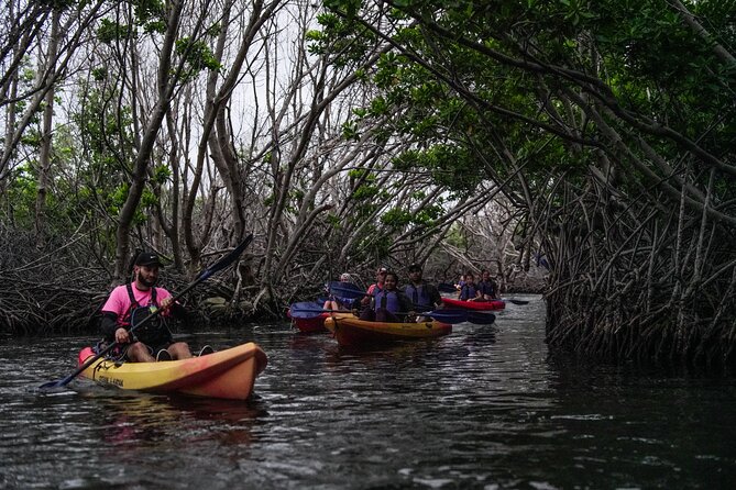 Puerto Rico Sunset Magic: Bio Bay Kayaking Tour from Fajardo - The 2-Hour Paddle Plan: Mangroves to Laguna Grande and Back