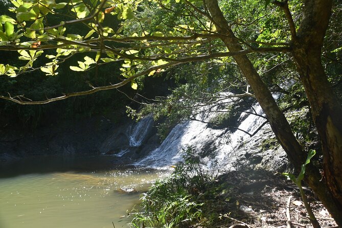 Puerto Rico Waterfall Hiking Tour: Discover Hidden Gems 2.0 - Key things that make this waterfall day different