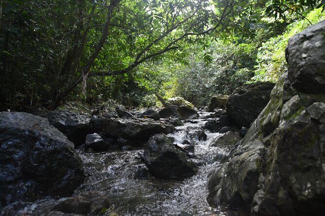 Puerto Rico Waterfall Hiking Tour: Discover Hidden Gems 2.0 - Riding into the mountains: the San Juan pickup and van time