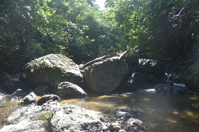 Puerto Rico Waterfall Hiking Tour: Discover Hidden Gems 2.0 - Your guide makes the whole day feel personal