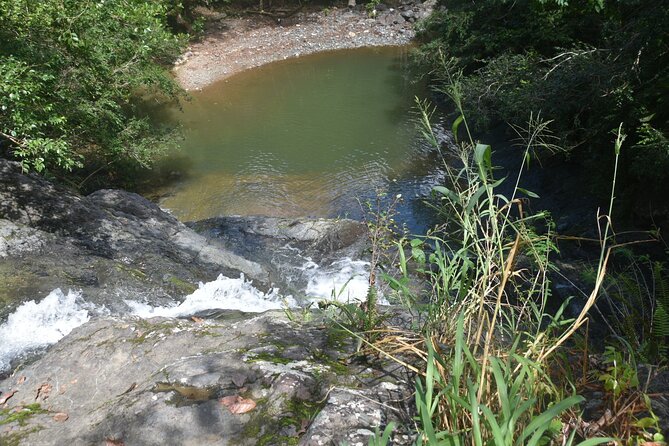 Puerto Rico Waterfall Hiking Tour: Discover Hidden Gems 2.0 - Price and value: what $80 covers, and what it does not