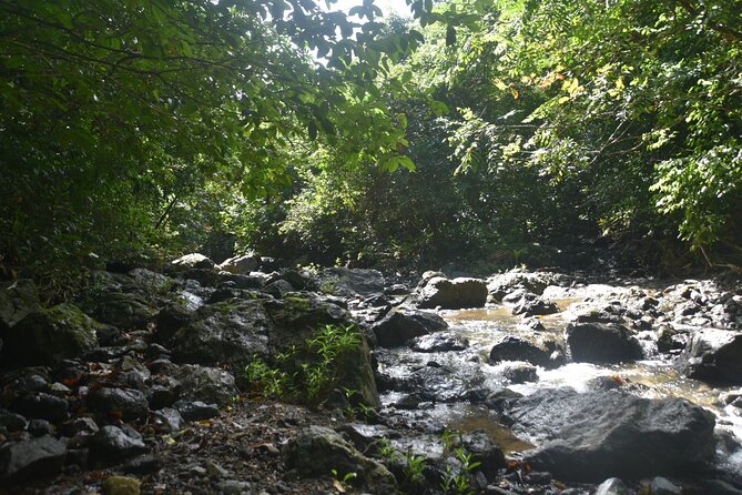 Puerto Rico Waterfall Hiking Tour: Discover Hidden Gems 2.0 - What to pack (so you do not suffer for the photos)