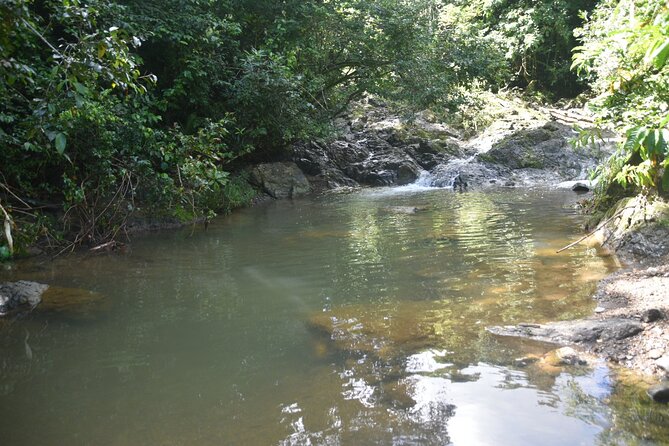 Puerto Rico Waterfall Hiking Tour: Discover Hidden Gems 2.0 - Who should book this waterfall hike, and who should skip it