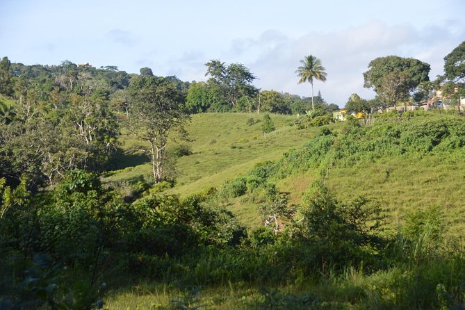 Puerto Rico Waterfall Hiking Tour: Discover Hidden Gems 2.0 - The hike itself: 40 to 60 minutes of real footwork