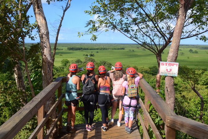Puerto Rico Ziplining: High-Flying Adventure close to San Juan - Views you actually get from the air