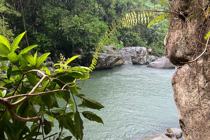 Rainforest Adventure All inclusive Food and Fotos - Guides make the day: Ty, Rahmel, Erik, Nick, and Quinn