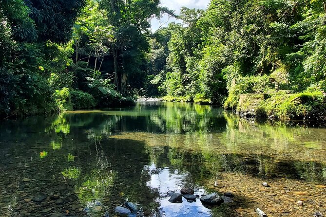 Rainforest and Junglequi Zipline Combo Tour - Leaving San Juan Behind: The 8:30am Marriott Start
