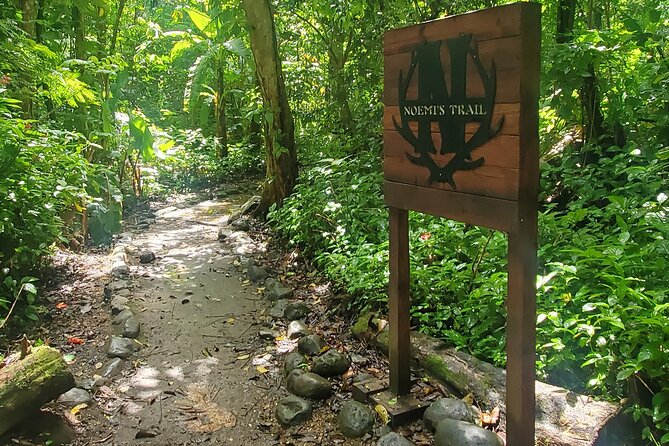 Rainforest and Junglequi Zipline Combo Tour - Who This Tour Suits Best
