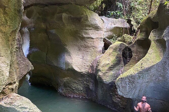 Rainforest Caves and Waterfalls Exploration with Transportation - Getting to the Start: The Ashford Ave meeting point and the drive